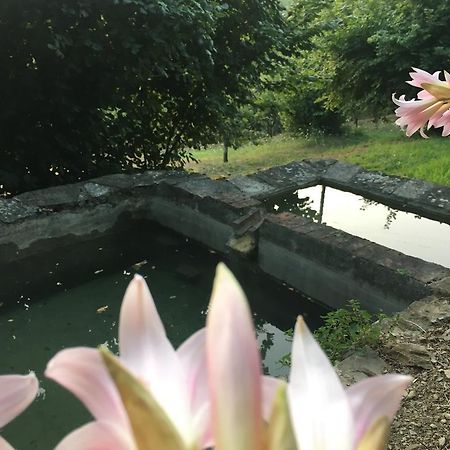 Relax Nella Natura Bolano Luaran gambar