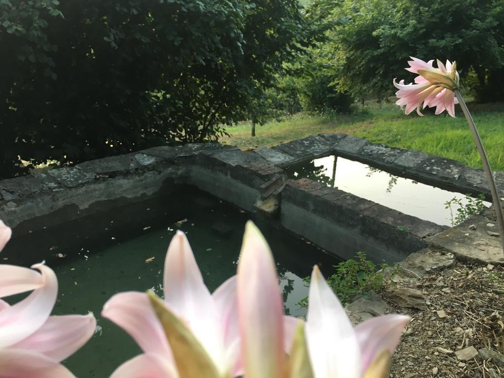 Relax Nella Natura Bolano Luaran gambar