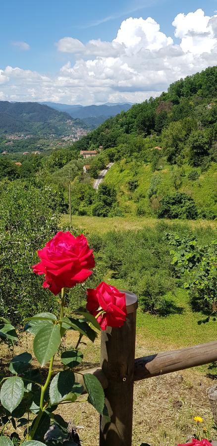 Relax Nella Natura Bolano Luaran gambar